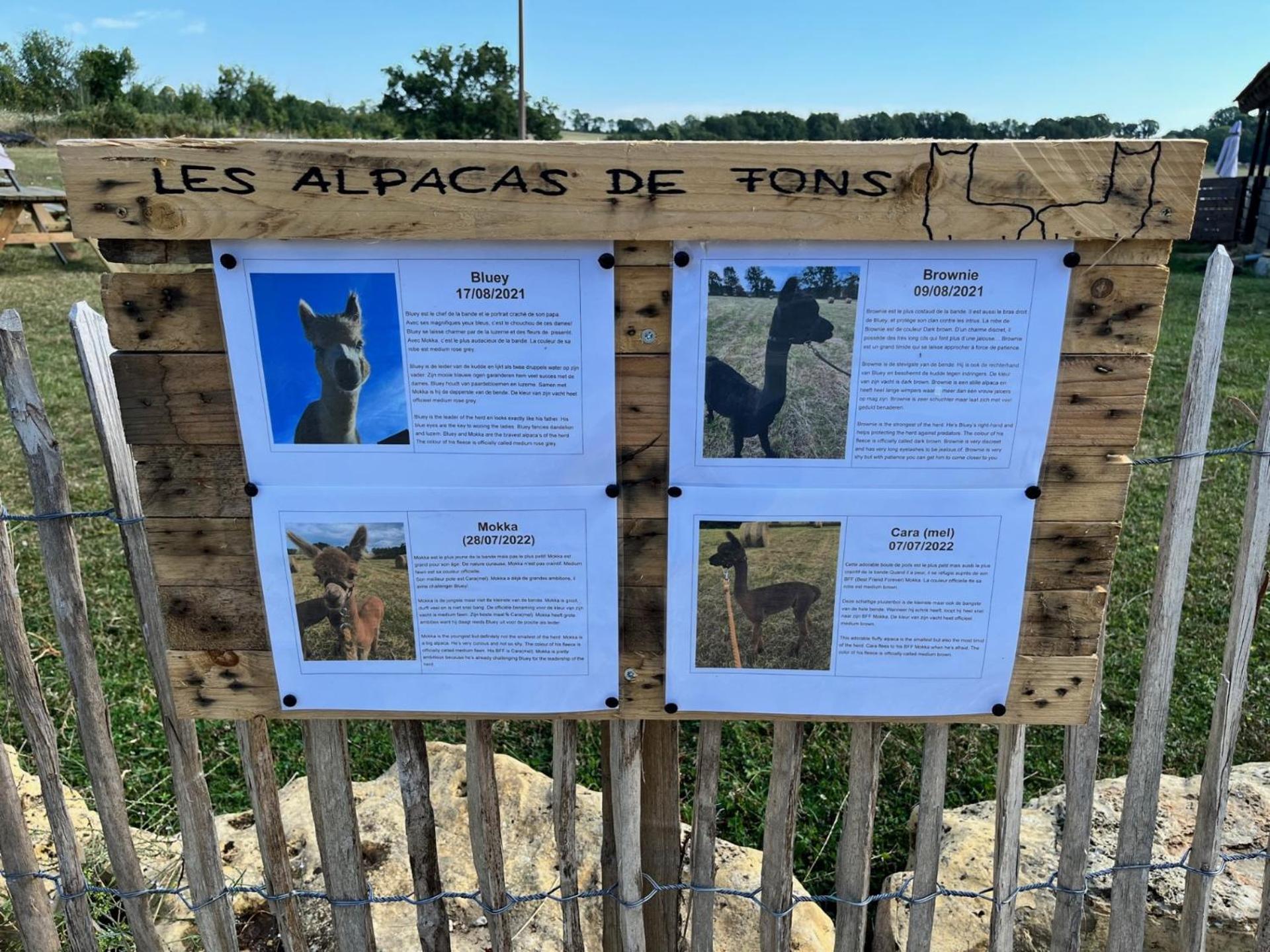 Gite La Borie Fons Kültér fotó